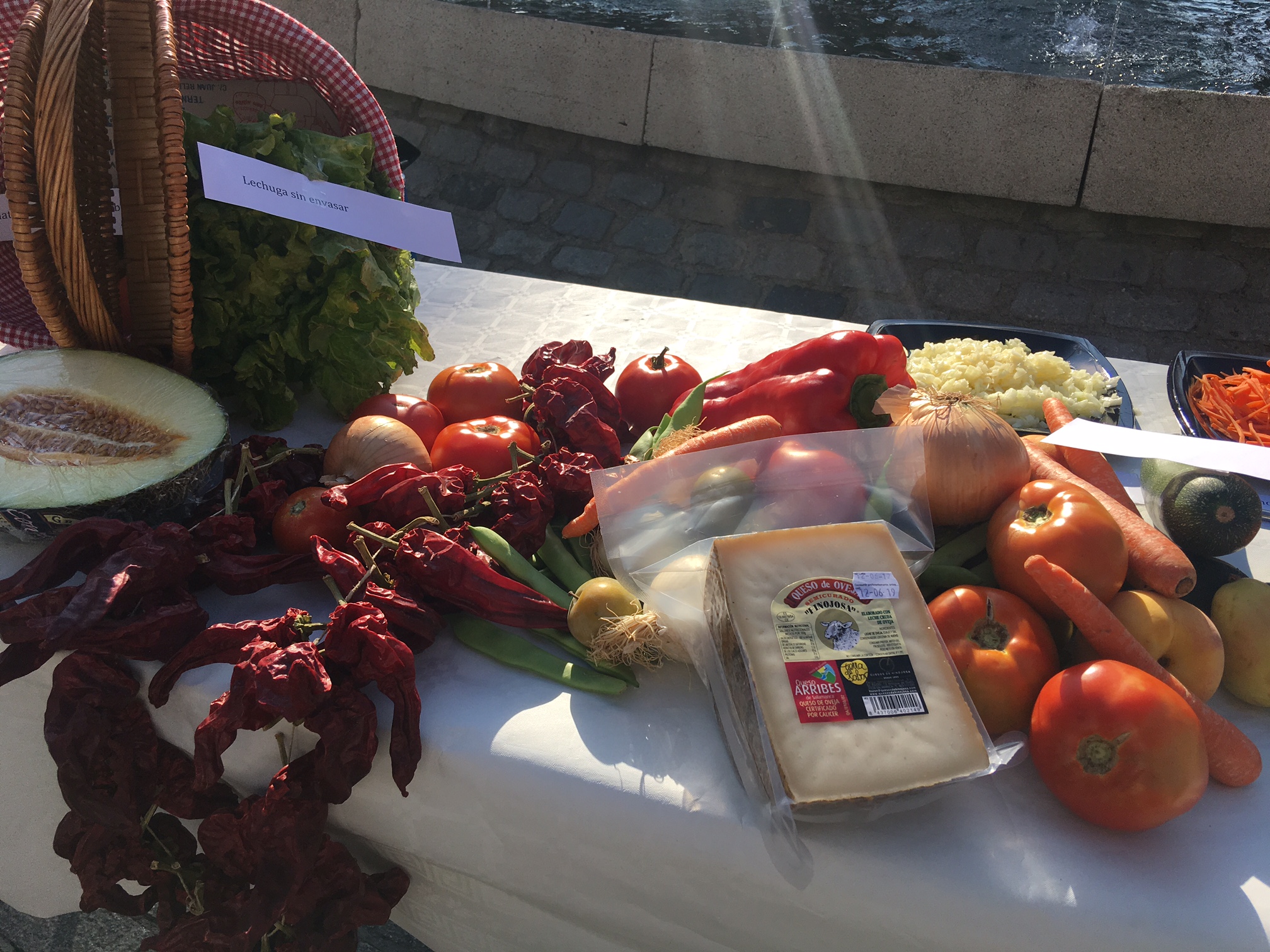 Alimentación saludable en los niños